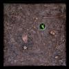 "Wormhole"
Acrylic. dirt, rocks, twigs, leaves on canvas 
 6"x6"
